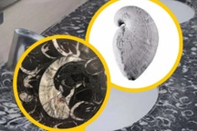 Nhà vệ sinh bỗng trở thành điểm du lịch nổi tiếng nhờ điều bất ngờ