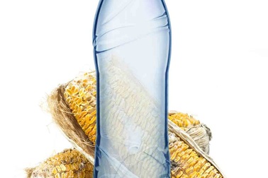 Sản xuất chai nhựa từ phần thừa của cây ngô