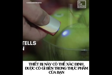 Thiết bị cầm tay giúp “giải mã” chất lượng thực phẩm trong nháy mắt