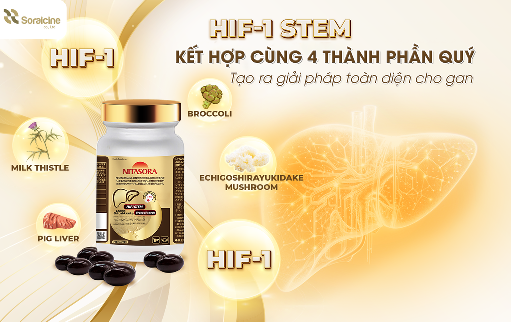 Nitasora - Ứng dụng nghiên cứu về gan từ Nhật Bản - 3 Nitasora - Ứng dụng nghiên cứu về gan từ Nhật Bản - 3