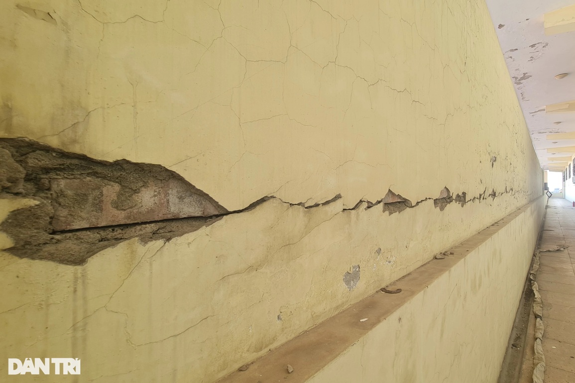 Dẹp tình trạng nhếch nhác ở chợ lớn nhất Nghệ An sau phản ánh của Dân trí - 10 Dẹp tình trạng nhếch nhác ở chợ lớn nhất Nghệ An sau phản ánh của Dân trí - 10