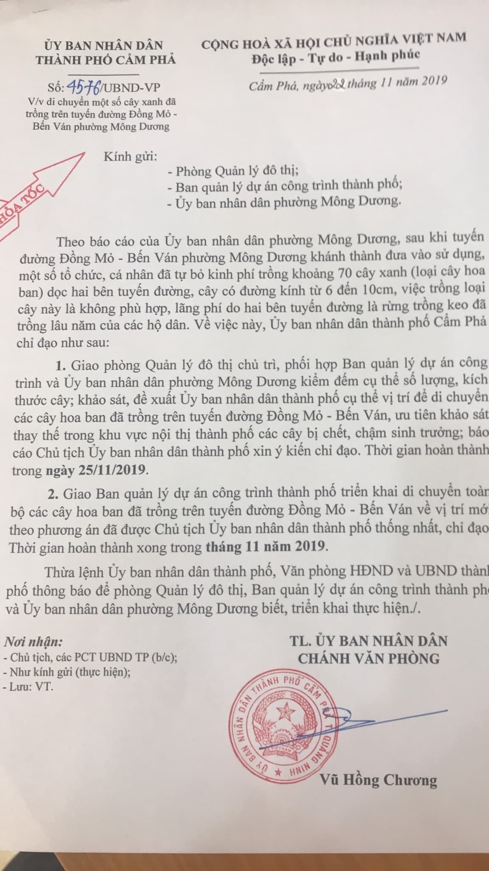 Cẩm Phả chỉ đạo khẩn vụ hàng cây hoa ban tiền tỉ vô chủ - 1 Cẩm Phả chỉ đạo khẩn vụ hàng cây hoa ban tiền tỉ vô chủ - 1