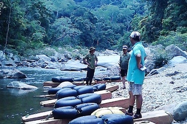 Phát hiện khối lượng lớn gỗ hương tía dưới lòng sông Côn