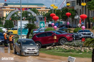 Bảo hiểm bồi thường gần 1.675 tỷ đồng cho khách bị thiệt hại do 2 cơn bão