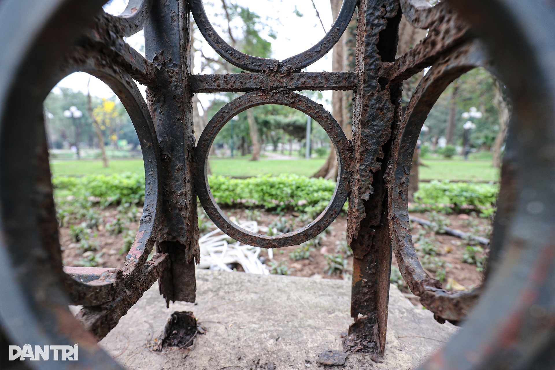 Gấp rút cải tạo vỉa hè, cắt hạ rào sắt Công viên Thống Nhất - 3 Gấp rút cải tạo vỉa hè, cắt hạ rào sắt Công viên Thống Nhất - 3