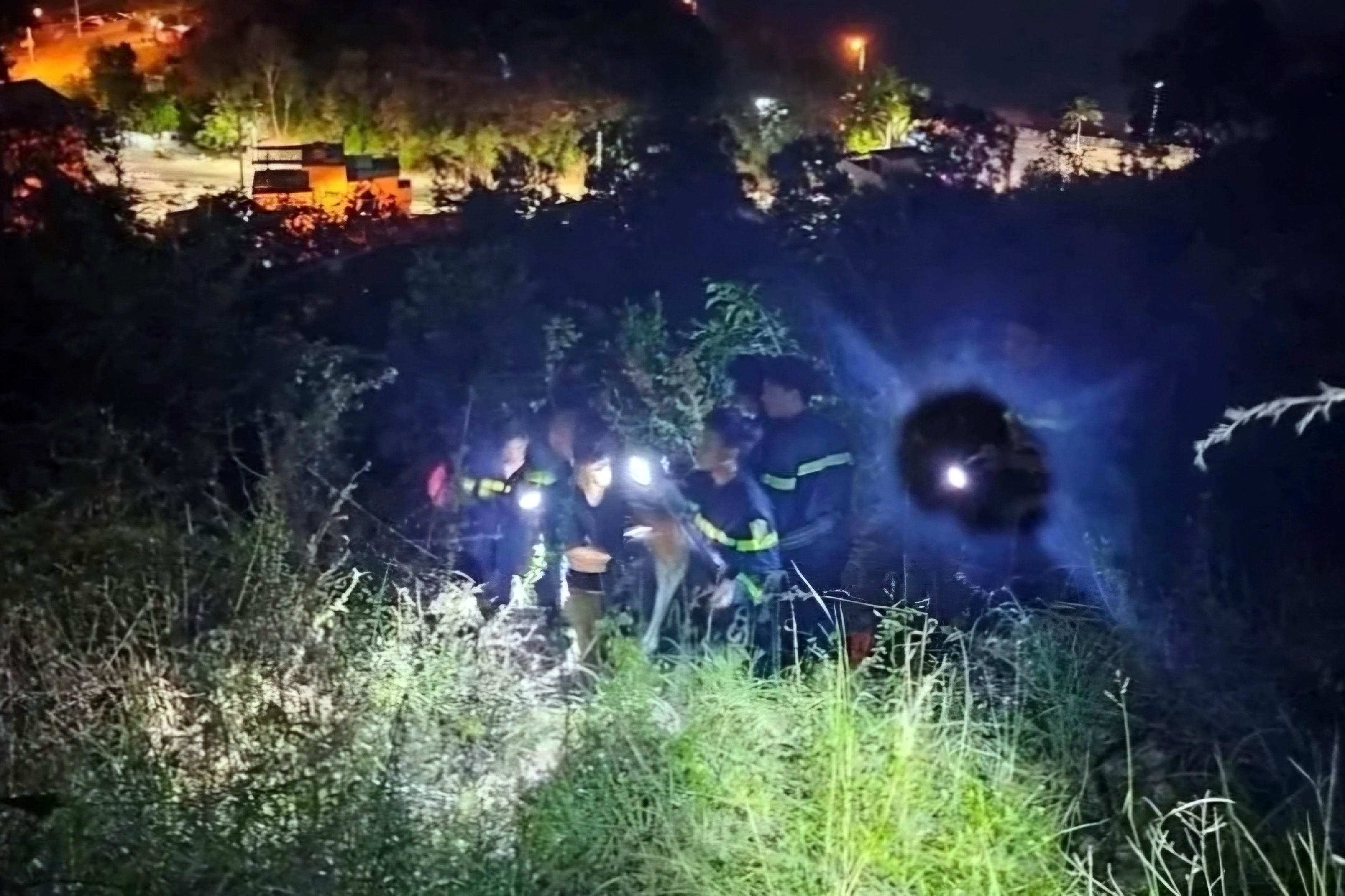 Two tourists lost their way and got stuck on Fairy Mountain - 1 Hai du khách lạc đường, mắc kẹt trên núi Cô Tiên - 1