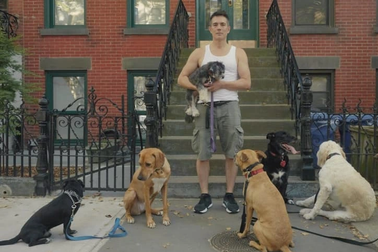 Chàng trai người Mỹ kiếm hơn 2,8 tỷ đồng/năm bằng việc dắt thú cưng đi dạo