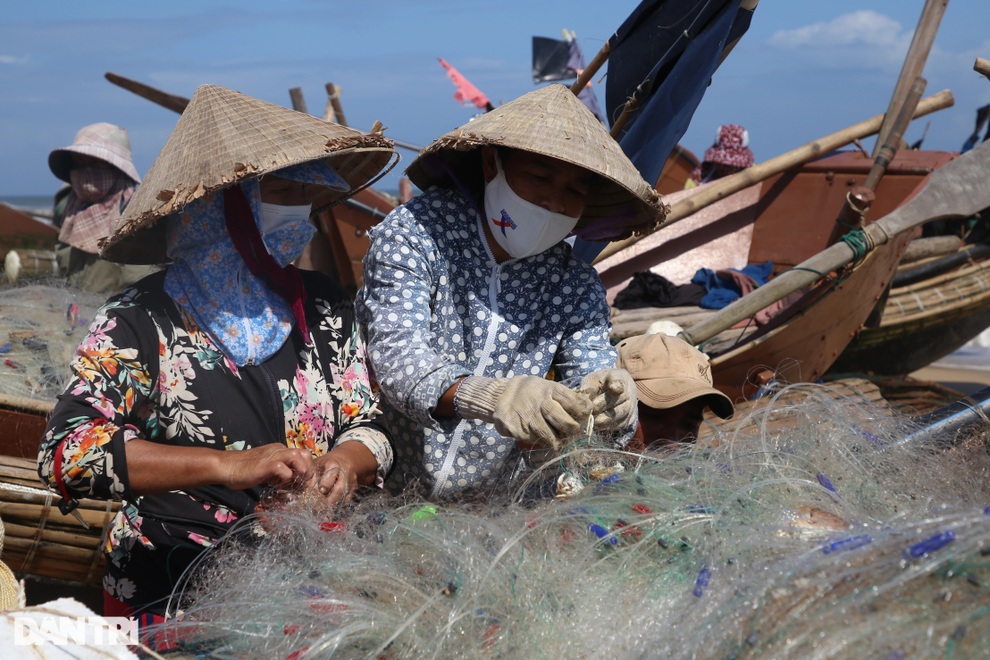 Những chuyến ra khơi chớp nhoáng mang về tiền triệu cho ngư dân - 2 Những chuyến ra khơi chớp nhoáng mang về tiền triệu cho ngư dân - 2