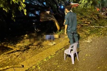 Người đàn ông ở TPHCM bị cây xanh đè tử vong trong cơn mưa