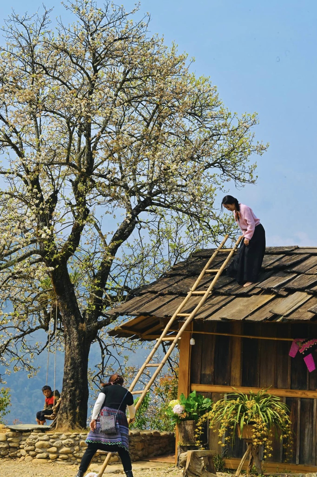 Mê sắc hoa sơn tra Tây Bắc, du khách leo hẳn lên nóc nhà săn ảnh đẹp - 2