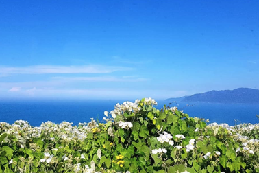 Chồng vừa mất, nhà nội nhờ tôi nuôi con riêng của anh