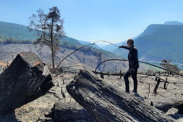 Vụ cháy rừng ở Quảng Nam: Mất trắng hơn 32 ha rừng phòng hộ