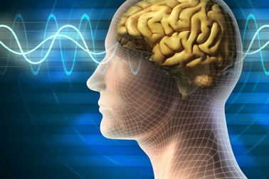 Phát hiện cách dễ dàng tránh mất trí nhớ