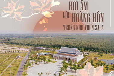 Hơi ấm lúc hoàng hôn trong khu vườn Sala