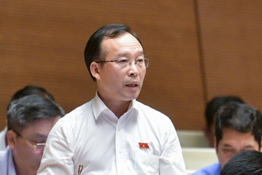 Nhiều người một gia đình đi đấu giá: Đại biểu không lo thông đồng, dìm giá