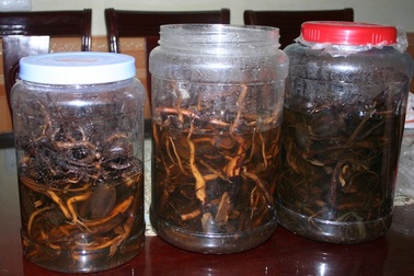 Đột nhập “thánh địa” sản xuất “thần chết”