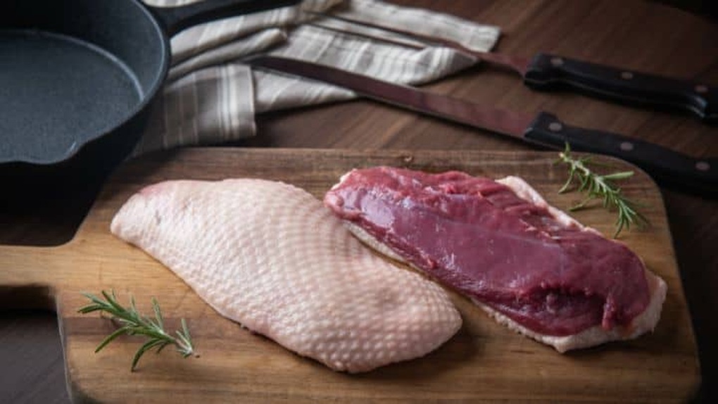 Nên cho trẻ ăn thịt vịt hay thịt gà - 1 Nên cho trẻ ăn thịt vịt hay thịt gà - 1