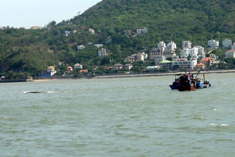 Vụ chìm tàu Trường Hải Star: 64 ô tô chìm xuống biển