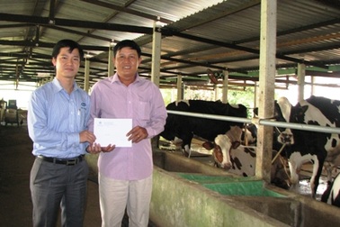 Vinamilk chăm lo tết cho bà con chăn nuôi bò sữa