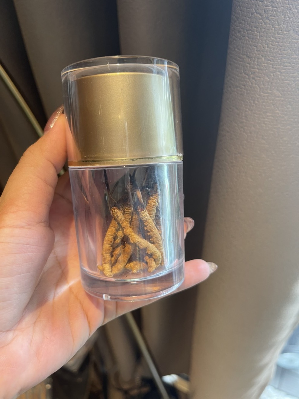 Lô đông trùng hạ thảo Tây Tạng hàng trăm con không rõ nguồn gốc - 3 Lô đông trùng hạ thảo Tây Tạng hàng trăm con không rõ nguồn gốc - 3