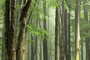 Cảm biến thông minh cho không khí trong nhà trong lành hơn