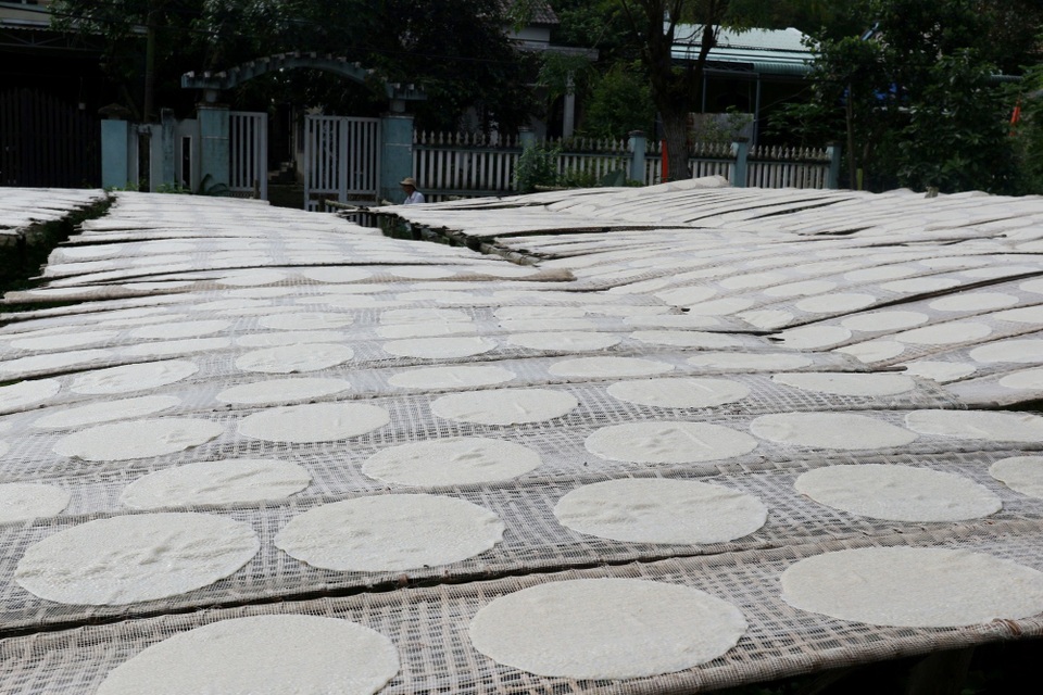 Làng bánh tráng đất Quảng “mướt mồ hôi” chạy đua cùng Tết Làng bánh tráng đất Quảng “mướt mồ hôi” chạy đua cùng Tết