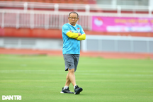 Cổ động viên Indonesia chưa đồng ý HLV Park thay ông Shin Tae Yong