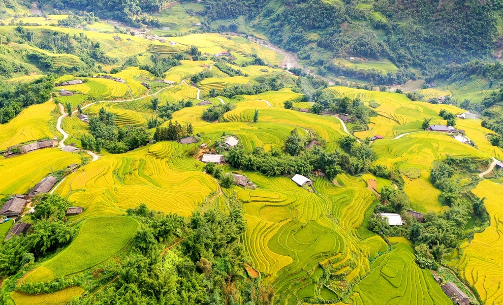 Sa Pa quyến rũ mùa lúa thay màu! - 2 Sa Pa quyến rũ mùa lúa thay màu! - 2