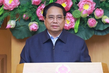 Thủ tướng: "Bỏ tư duy không biết mà vẫn quản, không quản được thì cấm"