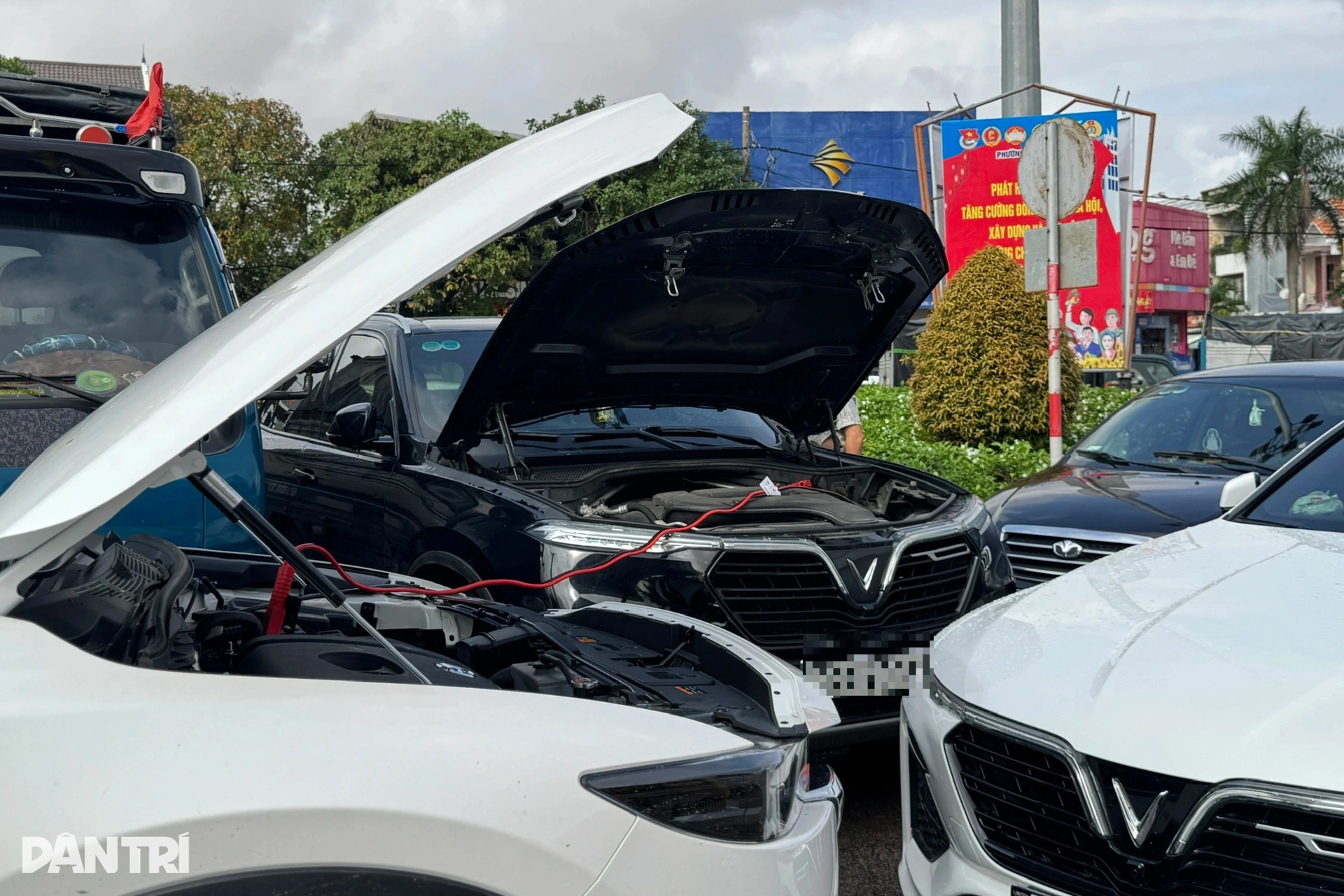 Ô tô chết la liệt, bùn và rác phủ kín khắp nơi sau lũ - 4 Ô tô chết la liệt, bùn và rác phủ kín khắp nơi sau lũ - 4