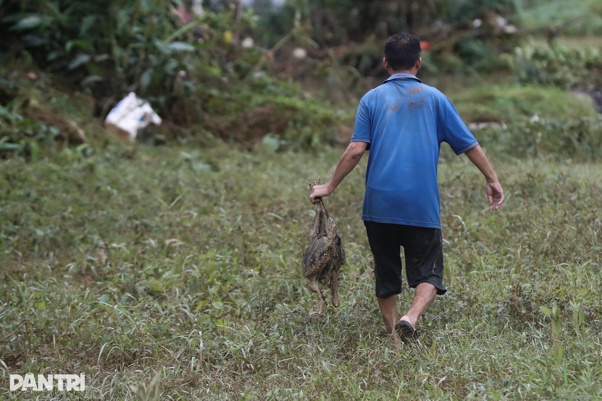 Những đám tang lạnh lẽo giữa vùng lũ chưa kịp rút ở Phú Yên - 13