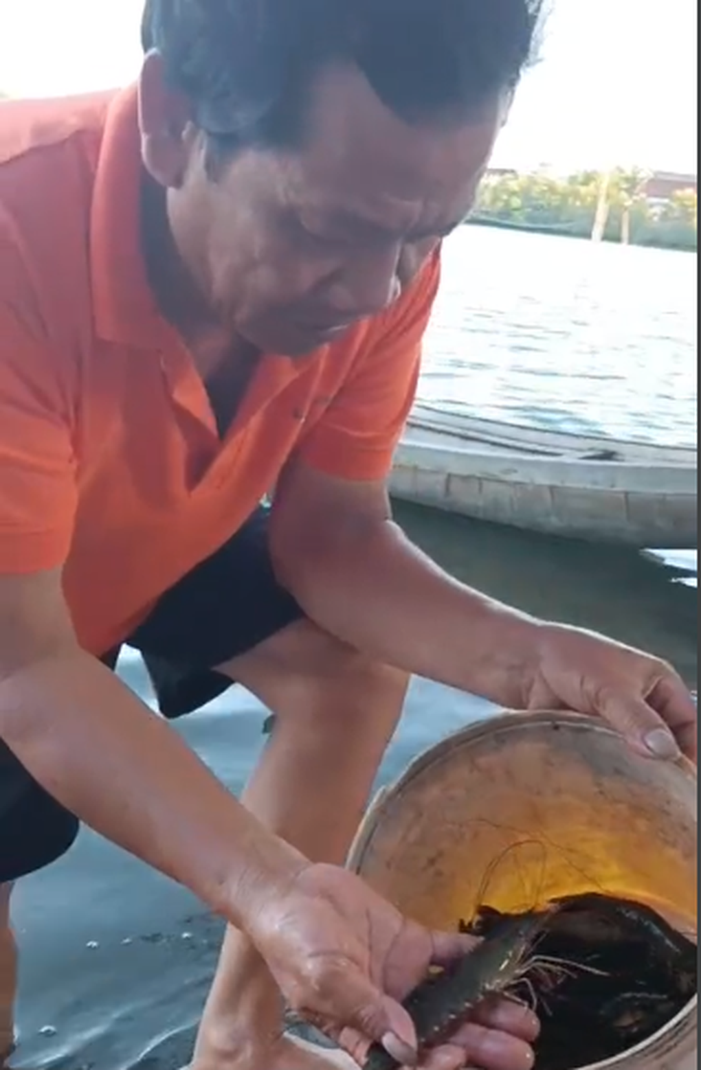Nuôi con bơi giật lùi xen cua và cá, lão nông thu lãi khủng - 2 Nuôi con bơi giật lùi xen cua và cá, lão nông thu lãi khủng - 2