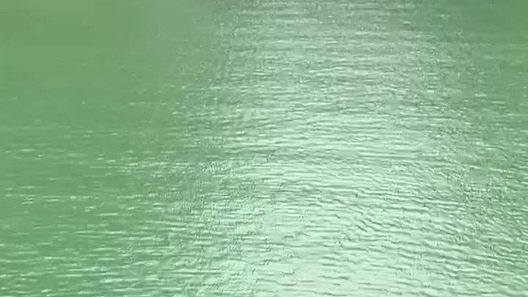 Nhóm khách Tây tắm sông ở Hà Giang khi nhiệt độ hạ hơn 10 độ C