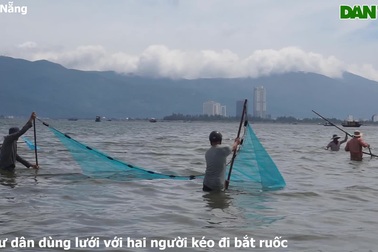 Ngư dân xoay vòng trên biển để kéo ruốc