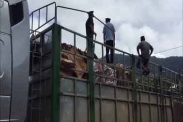 Bộ đội Biên phòng Quảng Trị bắt giữ xe chở gỗ lậu qua cửa khẩu.