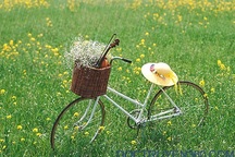 Nhật ký Radio số 9: Ai cũng từng đi qua mối tình đầu