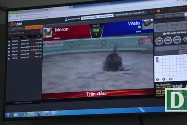 Gần 100 cảnh sát “đột kích” tổ hợp cờ bạc “ẩn mình" phía sau căn biệt thự