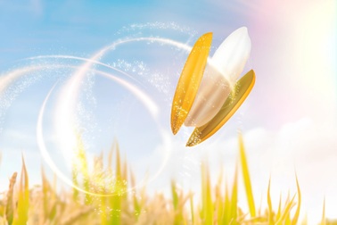 Lợi thế giúp người Việt dễ tiếp cận loại dầu ăn tốt cho tim