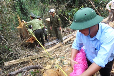 Đoàn kiểm tra đặc biệt vào điểm “nóng” phá rừng (video)
