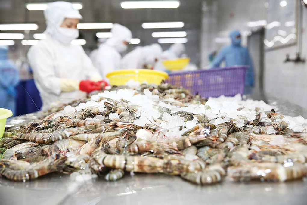 US urgently recalls imported frozen shrimp due to radiation contamination concerns - 1 Mỹ thu hồi khẩn tôm đông lạnh nhập khẩu vì lo nhiễm phóng xạ - 1