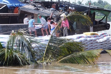 Đâm sà lan, ghe chở 130 tấn thức ăn chìm trên sông Tiền