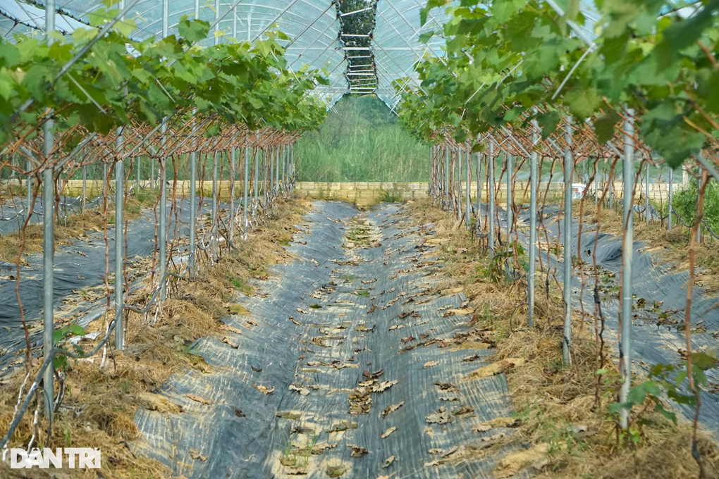 Cú liều ăn nhiều của anh khùng khiến ai cũng ngả mũ thán phục - 3