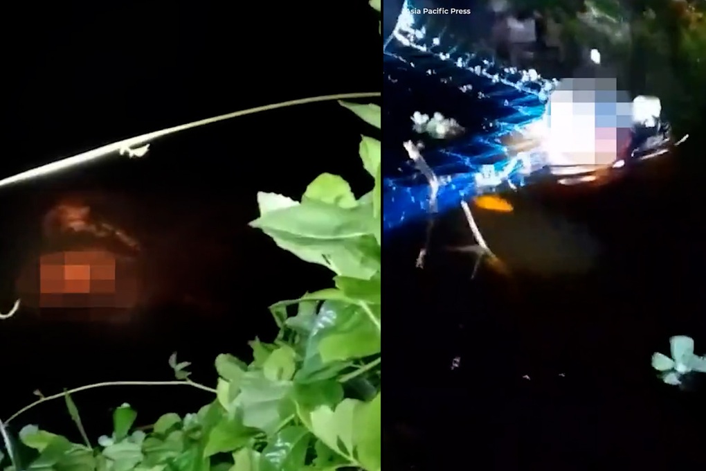 Chàng trai bị cá sấu kéo lê 4 tiếng, cảnh sát phải thả lưới vớt thi thể - 1 Chàng trai bị cá sấu kéo lê 4 tiếng, cảnh sát phải thả lưới vớt thi thể - 1