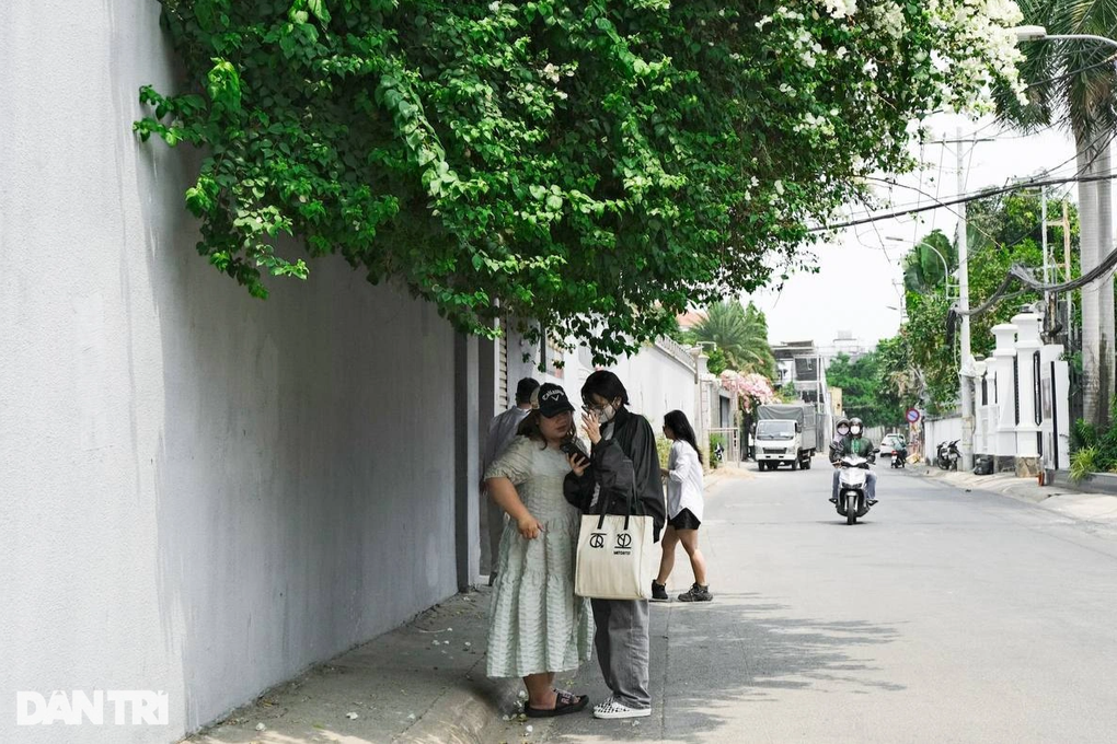 Đổ xô chụp ảnh với giàn hoa giấy đẹp như phim ở khu nhà giàu TPHCM - 2 Đổ xô chụp ảnh với giàn hoa giấy đẹp như phim ở khu nhà giàu TPHCM - 2
