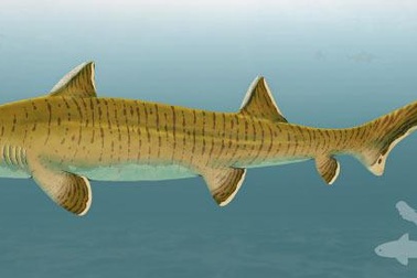 Phát hiện hóa thạch cá mập kỷ Jura được bảo quản cực tốt ở Đức