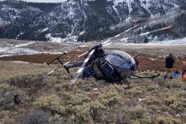 Cú nhảy cao của nai sừng tấm "hạ gục" máy bay trực thăng