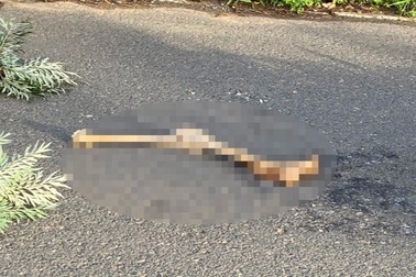 Phát hiện chân người ở Đà Lạt: Giải quyết ra sao khi chưa tìm ra nạn nhân?