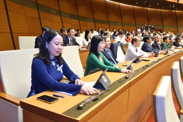 Đấu giá biển số ô tô từ 1/7/2023, thí điểm trong 3 năm