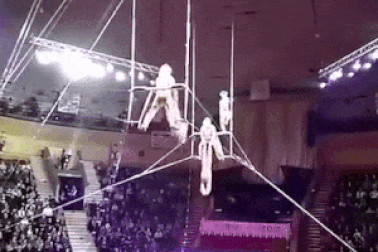 Nghệ sĩ xiếc nhào lộn rơi ngã từ độ cao 12m