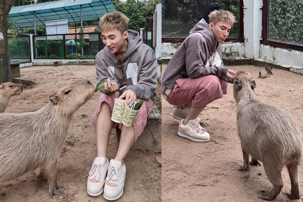 Porträtt av zoo-stjärnan som fick Son Tung M-TP att komma och fotografera - 1 Chân dung ngôi sao Thảo Cầm Viên khiến Sơn Tùng M-TP tìm đến chụp ảnh - 1